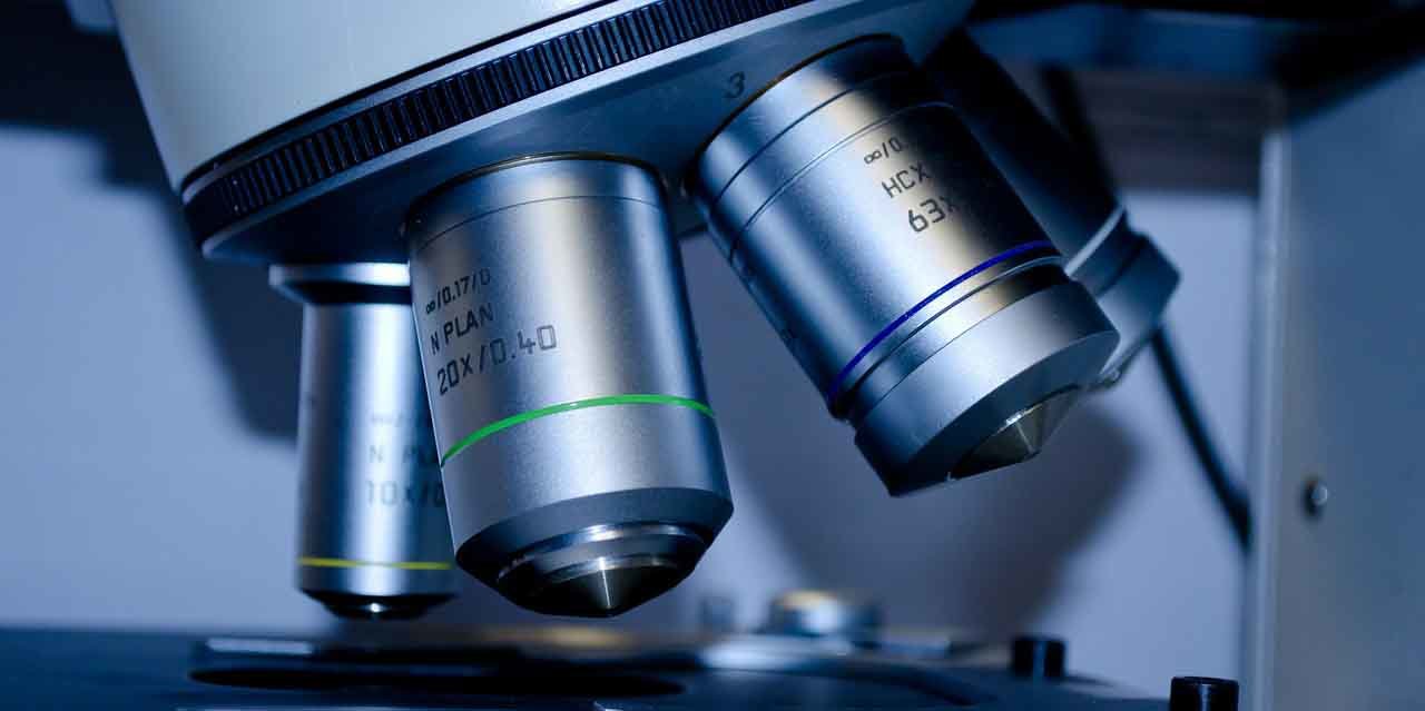 różyczka u dorosłych