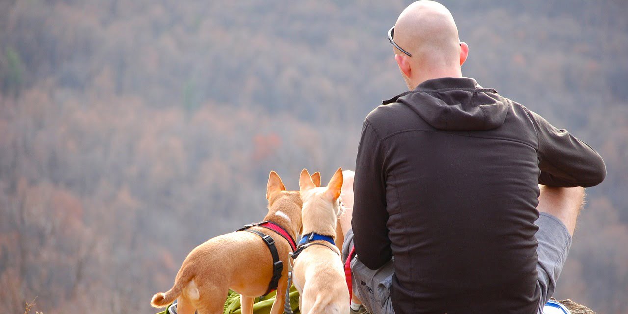 niepłodność męska