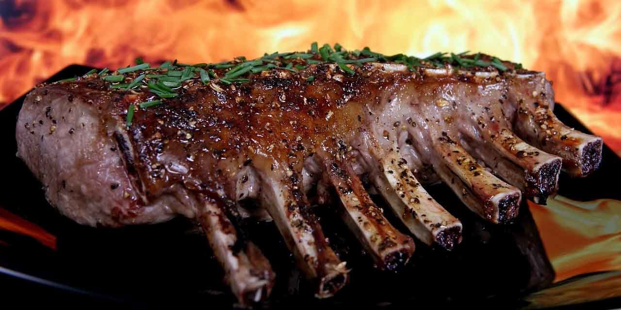 tasiemiec spirometra