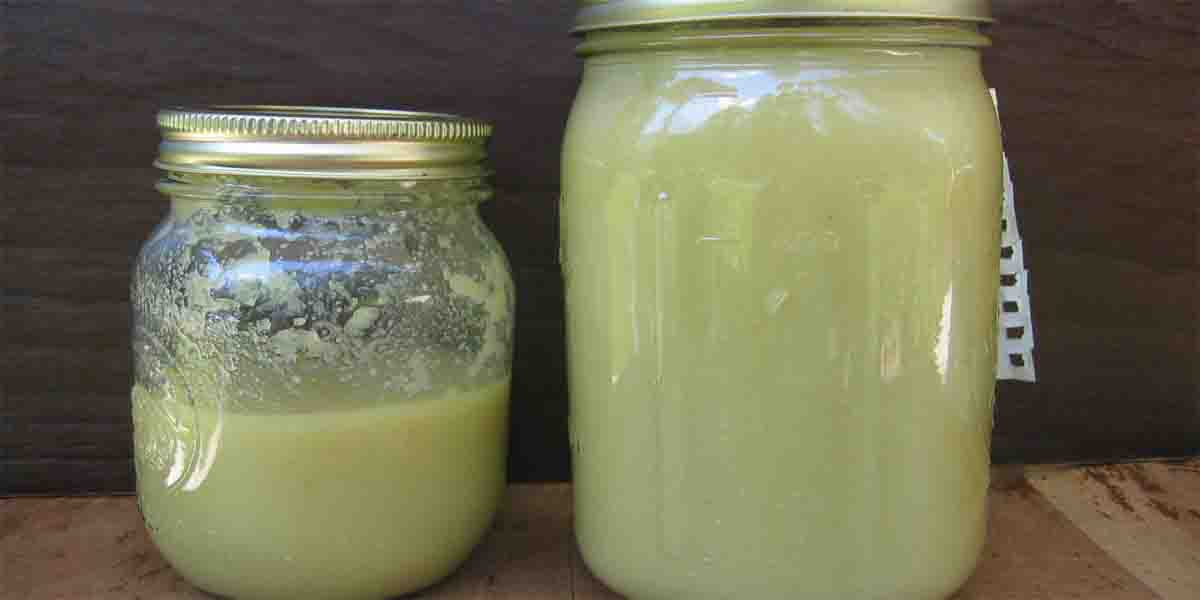 tybetańska nalewka czosnkowa