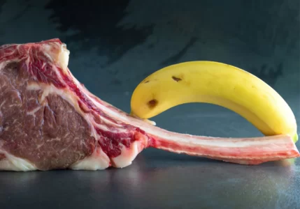 Dieta Carnivore